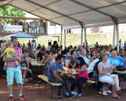 XX. Falunap 2019