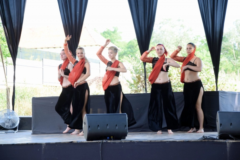 XX. Falunap 2019_33
