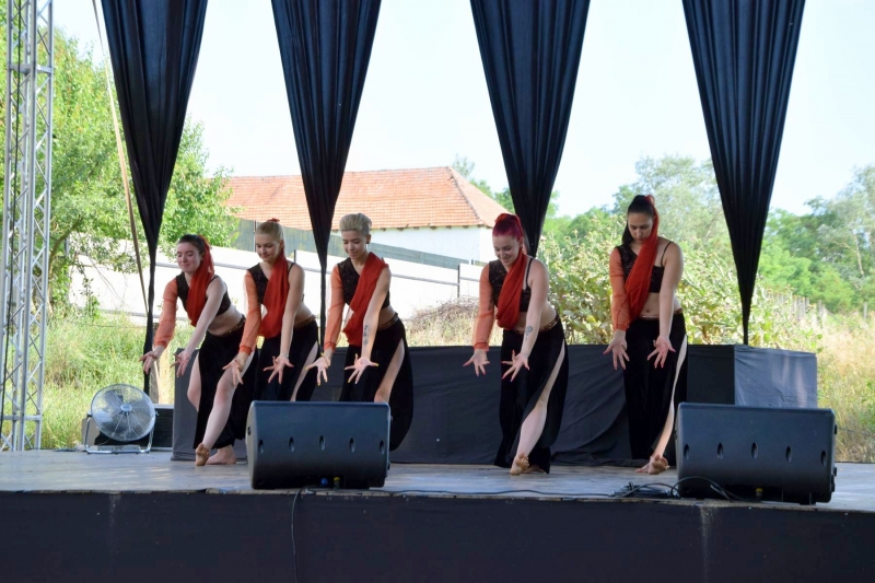 XX. Falunap 2019_34