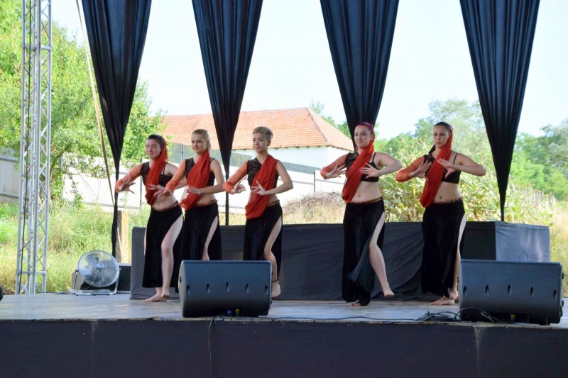 XX. Falunap 2019_35