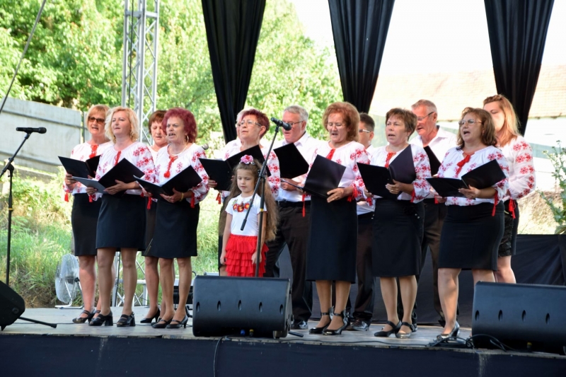 XX. Falunap 2019_40