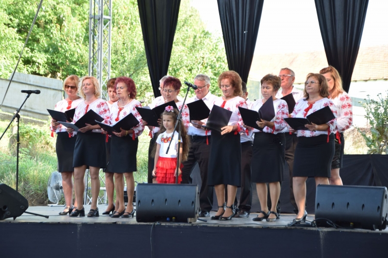 XX. Falunap 2019_41