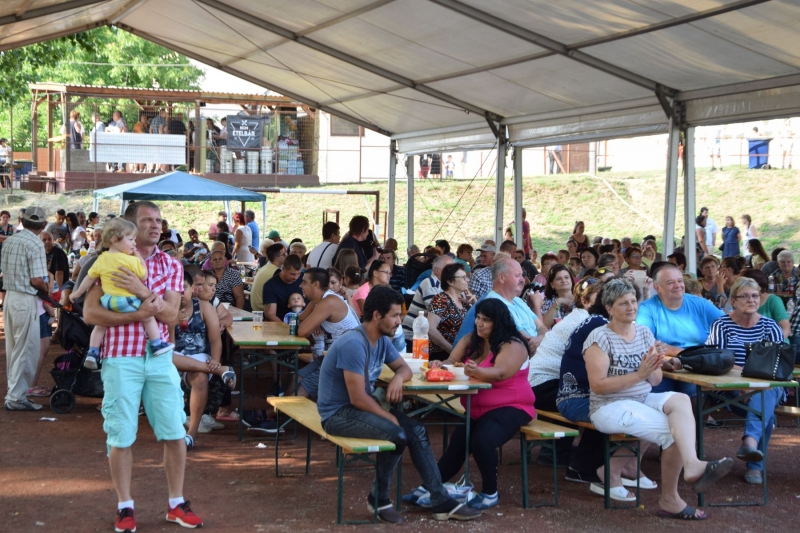 XX. Falunap 2019_42